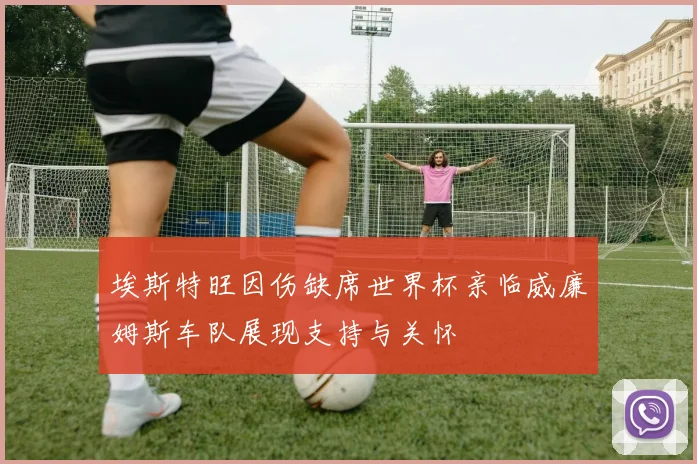 埃斯特旺因伤缺席世界杯亲临威廉姆斯车队展现支持与关怀