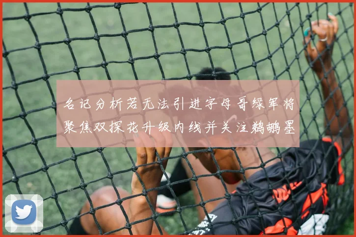 名记分析若无法引进字母哥绿军将聚焦双探花升级内线并关注鹈鹕墨菲